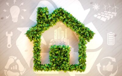 Se produci green i consumatori sono più felici: ecco lo studio