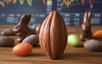 Prezzo del cacao in aumento: Pasqua 2025 più costosa a causa del cambiamento climatico