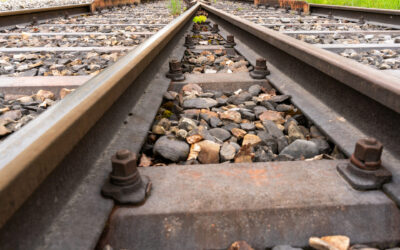 Trasporto ferroviario: “Disagi inaccettabili, ancora nessuna risposta ai viaggiatori”. Le Associazioni dei consumatori chiedono un intervento urgente