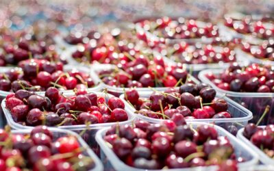 Ciliegie e caro-frutta: quando il clima pesa sul carrello